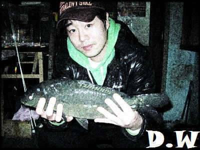 다들 건강하시지요 (커뮤니티 - 자유게시판)