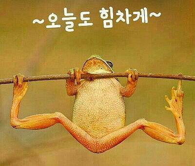 새벽에 일찍 (커뮤니티 - 자유게시판)