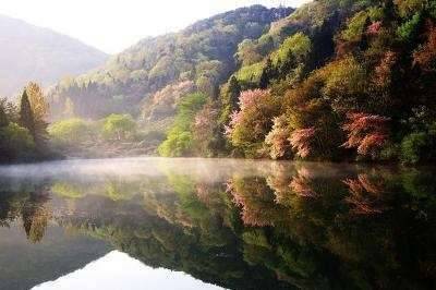 여기가 어디인지요 (커뮤니티 - 자유게시판)