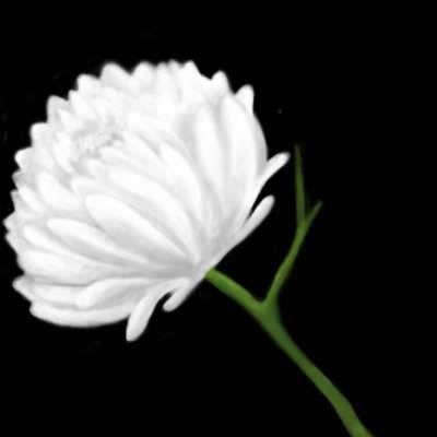 호국보훈의 달 (커뮤니티 - 자유게시판)