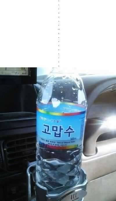 옥수수 한 줌 뿌려주고 (커뮤니티 - 자유게시판)