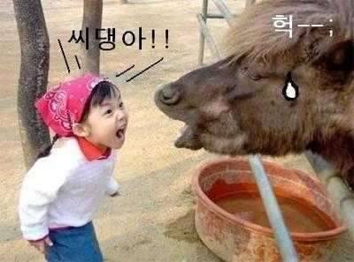 씨탱아 (커뮤니티 - 자유게시판)