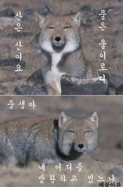 낚시갓다가 (커뮤니티 - 자유게시판)