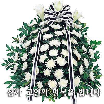 보리꾼님 모친상 (커뮤니티 - 자유게시판)