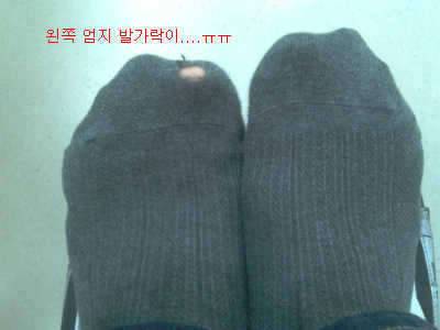 이럴수가정말 미스테리한 일이 (커뮤니티 - 자유게시판)