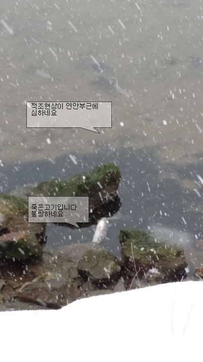 울산 태화강 낚시 탐사 (커뮤니티 - 자유게시판)