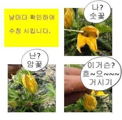 아무리 먹고싶다고 강제로 交合을 해야 한다는게 (커뮤니티 - 자유게시판)