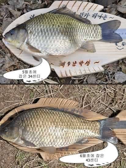 한해를 돌아보며 (커뮤니티 - 자유게시판)