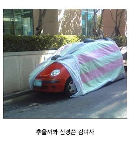 불금 입니다 (커뮤니티 - 자유게시판)