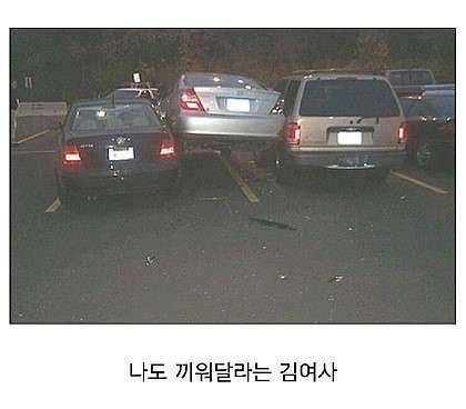 불금 입니다 (커뮤니티 - 자유게시판)