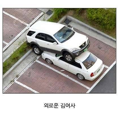 불금 입니다 (커뮤니티 - 자유게시판)