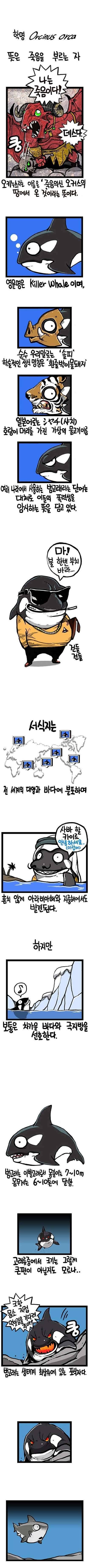 범고래 (커뮤니티 - 자유게시판)
