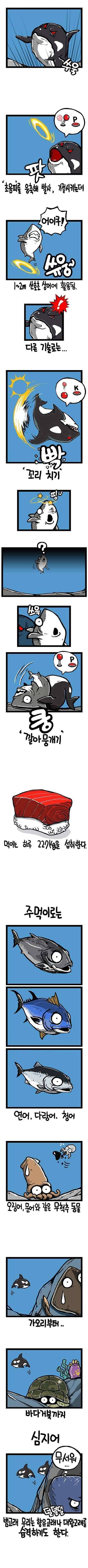 범고래 (커뮤니티 - 자유게시판)