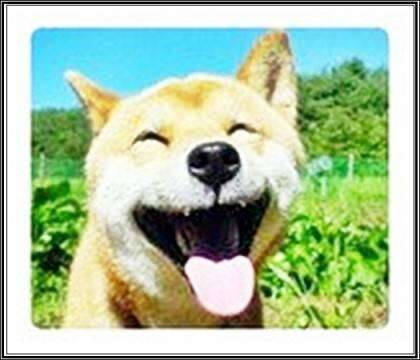 한잔더 (커뮤니티 - 자유게시판)
