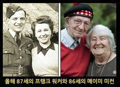 애틋한 80대 사랑 (커뮤니티 - 자유게시판)
