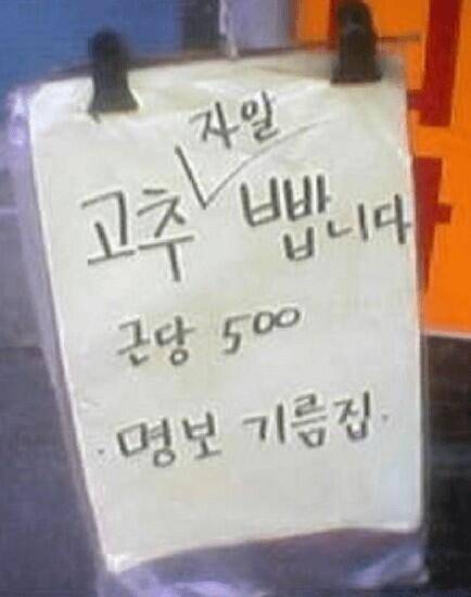 고추 빱니다 (커뮤니티 - 자유게시판)