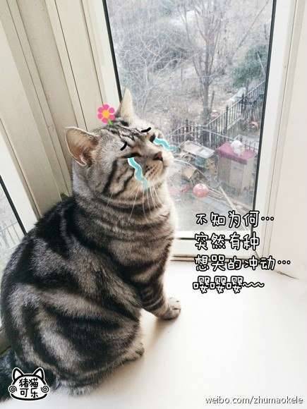 사랑과전쟁 현실편 (커뮤니티 - 자유게시판)