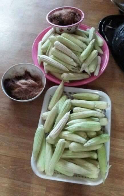 ㅎㅎ 강냉이를 삶았습니다 (커뮤니티 - 자유게시판)