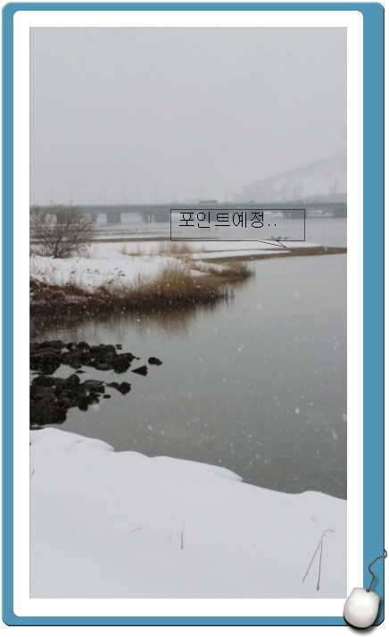 울산 태화강 낚시 탐사 (커뮤니티 - 자유게시판)