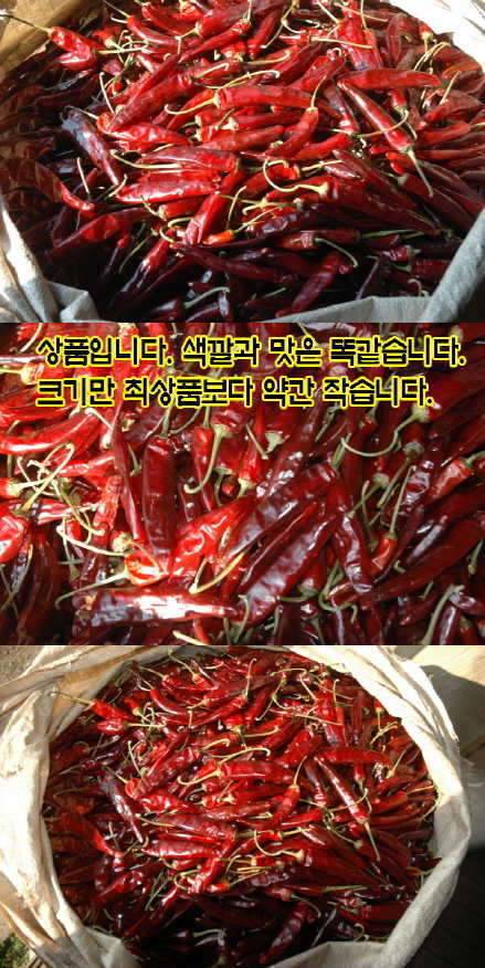 최상품 영양고추 팜니다14일 배송완료 (커뮤니티 - 자유게시판)
