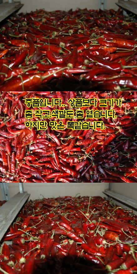 최상품 영양고추 팜니다14일 배송완료 (커뮤니티 - 자유게시판)