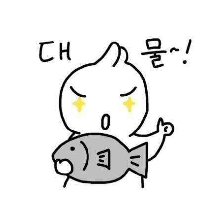 혼자밤낚시왓어요 (커뮤니티 - 자유게시판)