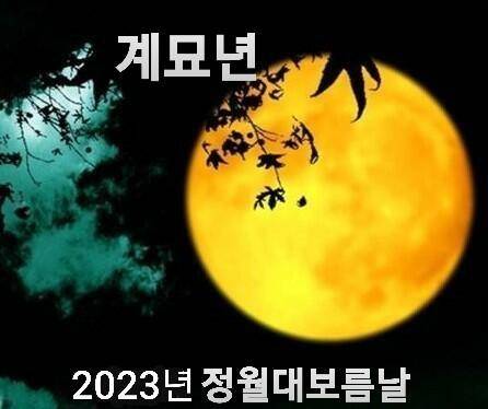 정월대보름 짤포함 (커뮤니티 - 자유게시판)