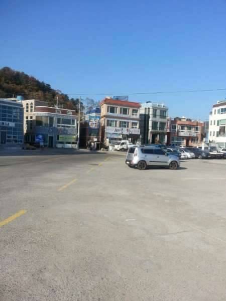 어떤사람이 뭘 잘몬 묵은는지 (커뮤니티 - 자유게시판)