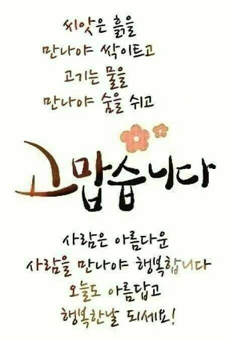 독조 그리고 납회 (커뮤니티 - 자유게시판)
