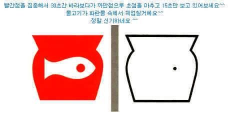 발기 되슈 괴기 볼려면 째려 봐야함다 (커뮤니티 - 자유게시판)