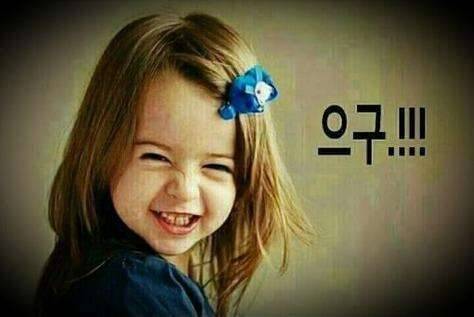 붕어라는 존재 (커뮤니티 - 자유게시판)