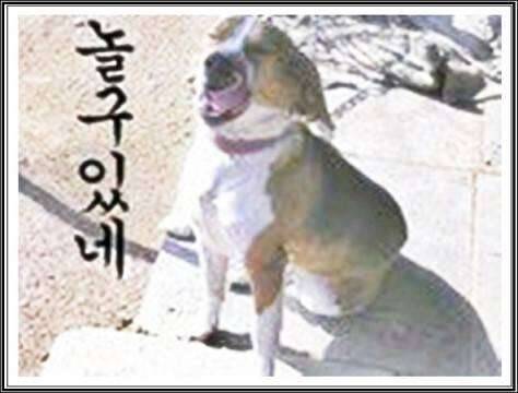 한잔더 (커뮤니티 - 자유게시판)