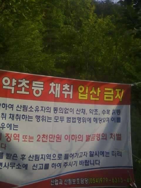 어떻게 피해가십니까 (커뮤니티 - 자유게시판)