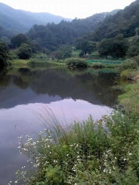 소류지 장소추천좀요사진첨부 (커뮤니티 - 자유게시판)