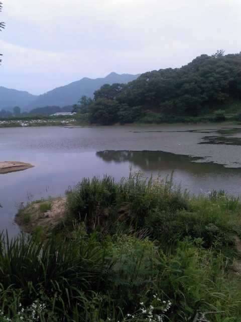 소류지 장소추천좀요사진첨부 (커뮤니티 - 자유게시판)