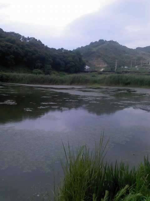 소류지 장소추천좀요사진첨부 (커뮤니티 - 자유게시판)