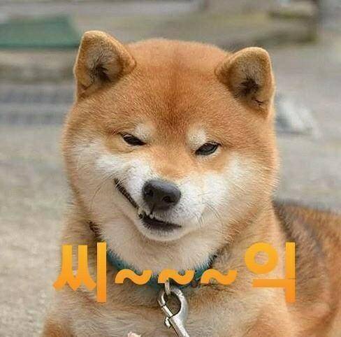 고양이 안마보고있음 므흣 (커뮤니티 - 자유게시판)