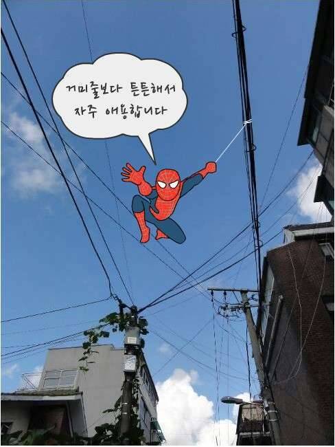 풍찬노숙ㅡ21청도권결과입니다 (커뮤니티 - 자유게시판)