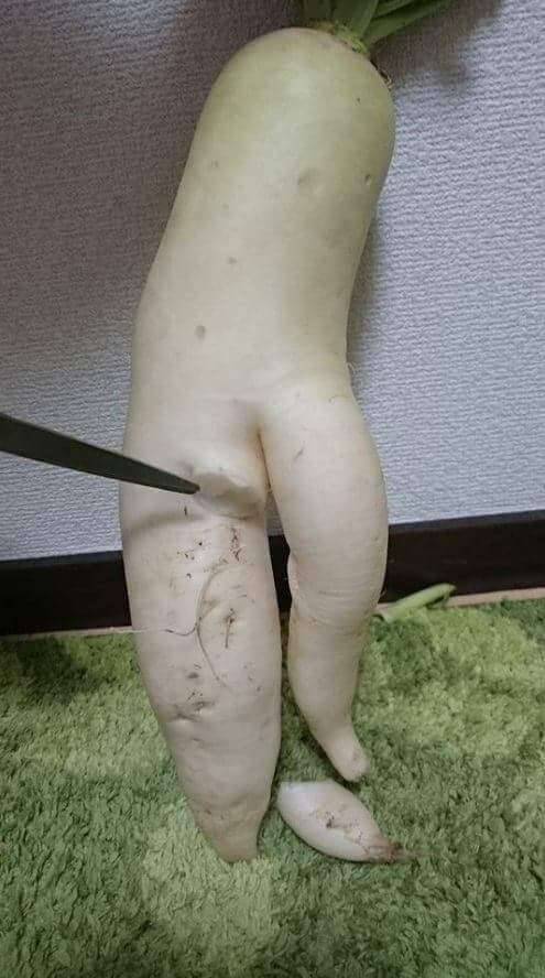 간만에 무횽이나 (커뮤니티 - 자유게시판)