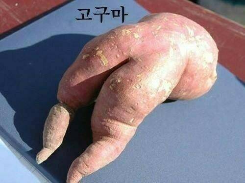 잼난 채소 과일들2 (커뮤니티 - 자유게시판)