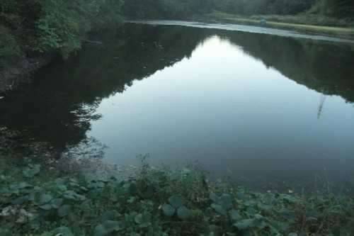 추버서 서거 하는줄 알았습니더 (커뮤니티 - 자유게시판)