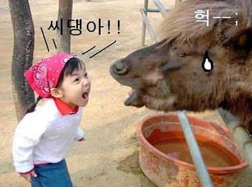 월척에서 제일 무서운분 비늘님 (커뮤니티 - 자유게시판)