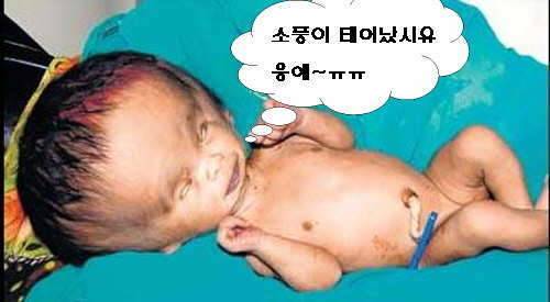 재업 (커뮤니티 - 자유게시판)
