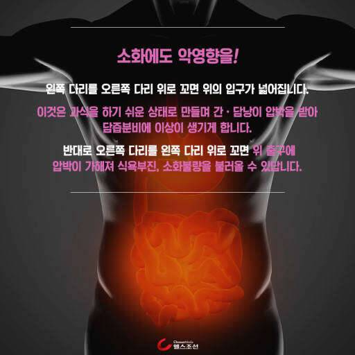 위험한 다리 (커뮤니티 - 자유게시판)