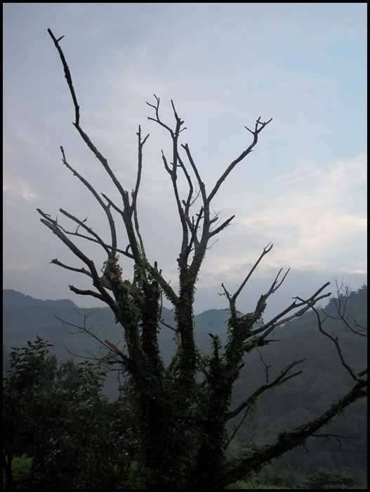 하늘을 볼수 있는 삶의 여유 (커뮤니티 - 자유게시판)
