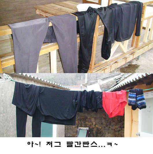 情家에서 어느 日常 (커뮤니티 - 자유게시판)
