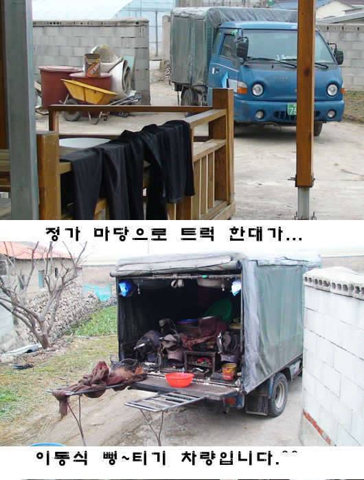 情家에서 어느 日常 (커뮤니티 - 자유게시판)