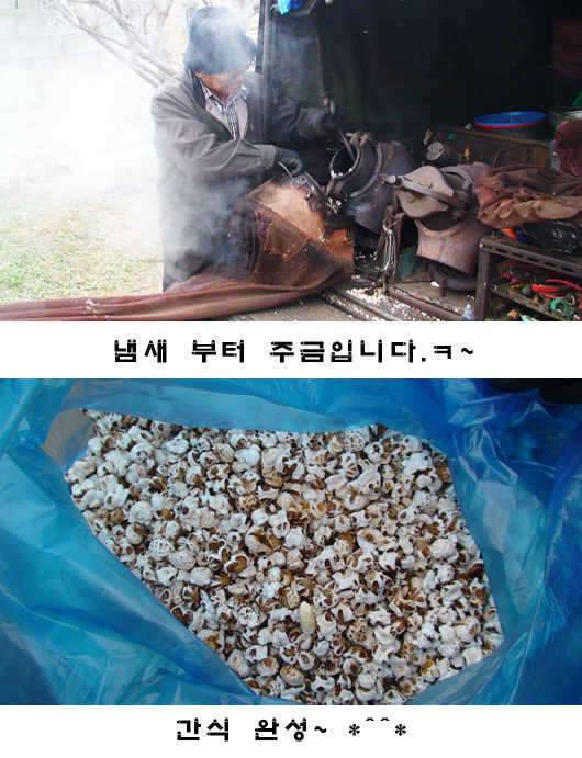 情家에서 어느 日常 (커뮤니티 - 자유게시판)
