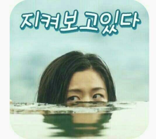 지켜보고있다 (커뮤니티 - 자유게시판)