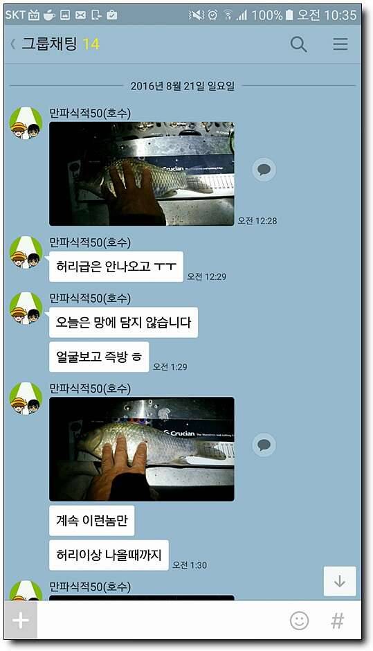 낚시는 집중력 (커뮤니티 - 자유게시판)
